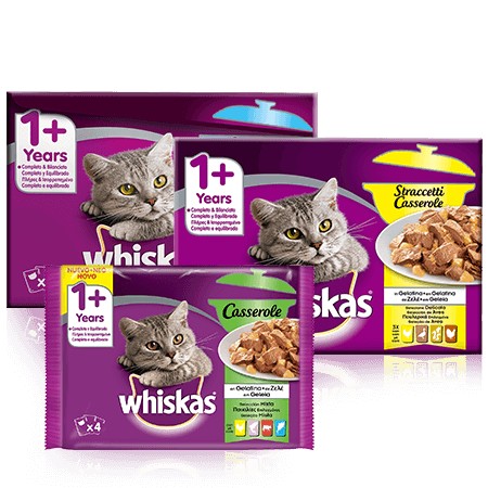 Whiskas kitten clearance casserole