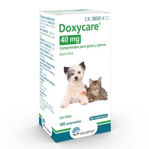 Doxiciclina 100 mg en perros