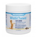 WELLICHEWS MULTIVITAMINICO PERRO 60 Chews 114.6 g Vitaminas para Perros