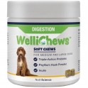 WELLICHEWS DIGESTION PERRO M-L 60 Chews 106.4 g Salud Digestiva de Perros