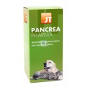 PANCREA PHARMA 50 g Enzimas Pancreáticas para Perros y Gatos