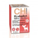 HYALOPHYT MSM RAZAS MINI 90 Comprimidos Condroprotector para Perros