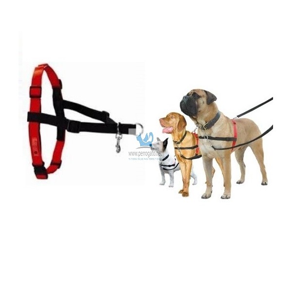 HALTI Arnés sin tirones, tamaño mediano, arnés profesional para perro para  dejar de tirar de la correa, fácil de usar, ayuda de entrenamiento