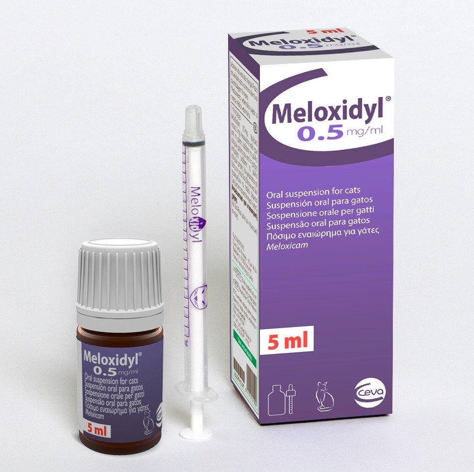 Meloxidyl Gato 0 5 Mg Ml Oral Antiinflamatorio Gatos