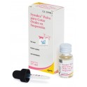 Onsior 6 Mg Antiinflamatorio 5x6 Comprimidos Para Gatos