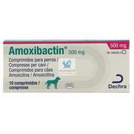 comprar amoxicillina