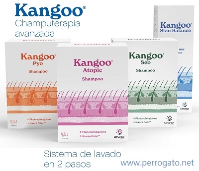 KANGOO - CHAMPUTERAPIA - PERROS Y GATOS