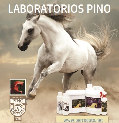 LABORATORIOS PINO - EQUIDOS