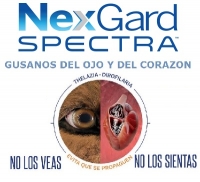 NEXGARD SPECTRA ® ANTIPARASITARIO ORAL PARA PERROS MAS PEQUEÑOS